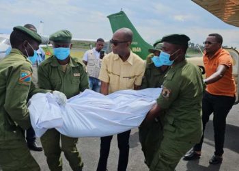 Rutshuru: Deux éco-gardes tués dans une nouvelle attaque armée dans le parc de Virunga (ICCN)