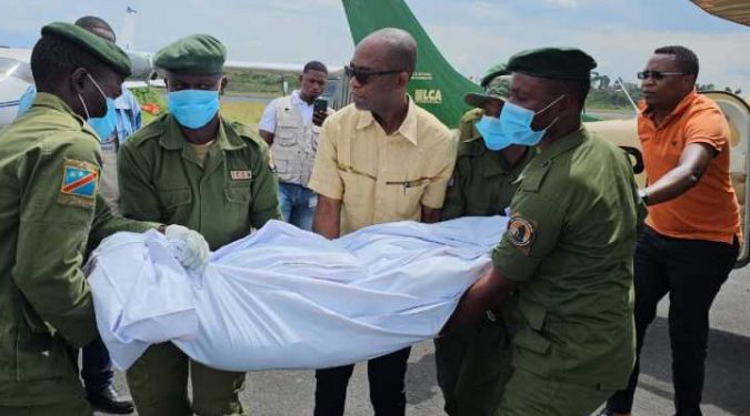 Rutshuru: Deux éco-gardes tués dans une nouvelle attaque armée dans le parc de Virunga (ICCN)