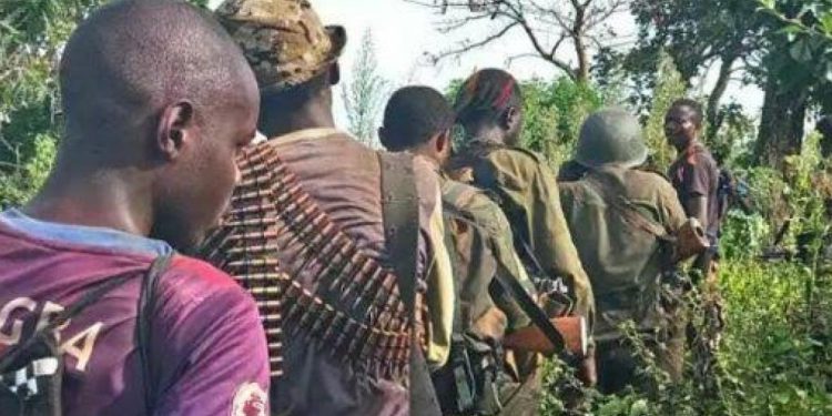 Insécurité à Kwango : 20 autres personnes tuées par la milice Mobondo dans le village Mulinu