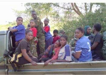 Guerre à l&rsquo;Est : 14 civils libérés par les rebelles des ADF, après une pression des FARDC-UPDF