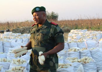 RDC: La production de maïs au service national est passée de 1.000 tonnes en 2019 à plus de 15 000 tonnes en 2023 (Gen. Kasongo)