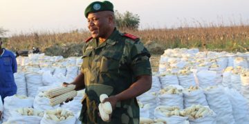 RDC: La production de maïs au service national est passée de 1.000 tonnes en 2019 à plus de 15 000 tonnes en 2023 (Gen. Kasongo)