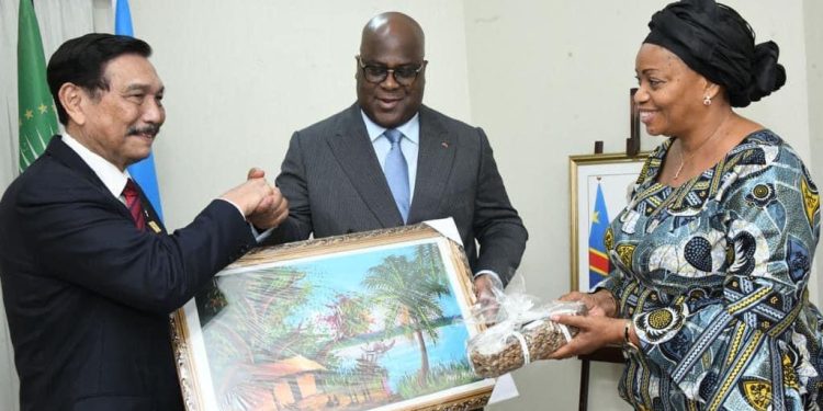 RDC : Kinshasa abritera dans les prochains jours le premier sommet trilatéral sur les trois grandes forêts tropicales du monde