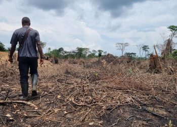 Kwilu : Dix personnes périssent dans une nouvelle attaque de la milice Mobondo dans le territoire de Popokabaka