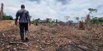 Kwilu : Dix personnes périssent dans une nouvelle attaque de la milice Mobondo dans le territoire de Popokabaka