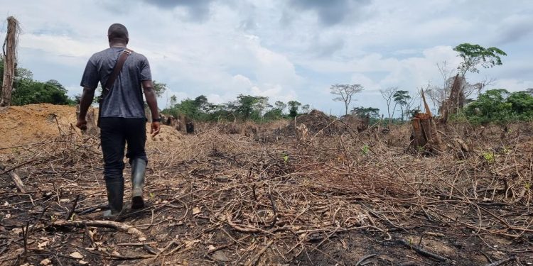 Kwilu : Dix personnes périssent dans une nouvelle attaque de la milice Mobondo dans le territoire de Popokabaka