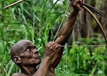 Journée Internationale des Populations autochtones: 600.000 Pygmées vivant en RDC peinent à trouver un emploi