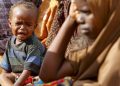 Guerre à l’Est : Environ 1,2 millions d’enfants de moins de cinq ans sont confrontés au risque de malnutrition dans l’est du pays (UNICEF)