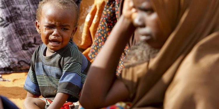 Guerre à l’Est : Environ 1,2 millions d’enfants de moins de cinq ans sont confrontés au risque de malnutrition dans l’est du pays (UNICEF)