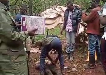 Éboulement dans une carrière « fermée » exploitée par un chinois à Kambove : 1 mort ,3 blessés et plusieurs cas de disparus signalés.
