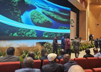 Environnement : Le Président Félix Tshisekedi attendu ce samedi au sommet des trois bassins tropicaux à Brazzaville