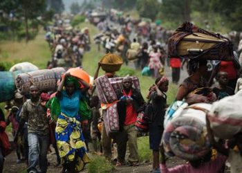 Sécurité : Selon le HCR, près de 698 réfugiés congolais en provenance de 3 pays africains ont été rapatriés depuis le début de l’année 2023