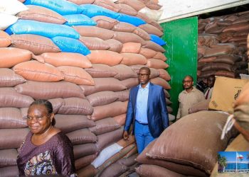 Haut-Katanga : Les cultivateurs subventionnés par la province invités au remboursement des sacs de maïs ( Gouverneur de Province )