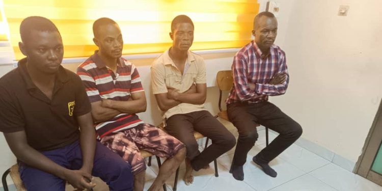 Elections-2023: Les producteurs des fausses cartes d’électeur arrêtés par la police nationale congolaise