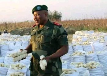 Autosuffisance alimentaire : « le stock est suffisant pour nouer les deux bouts de l’année, le sac de maïs se vend à 18 000 FC dans des camps militaires et policiers » Jean Pierre Kabwik