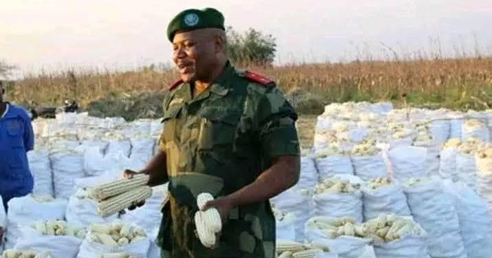 Autosuffisance alimentaire : « le stock est suffisant pour nouer les deux bouts de l’année, le sac de maïs se vend à 18 000 FC dans des camps militaires et policiers » Jean Pierre Kabwik