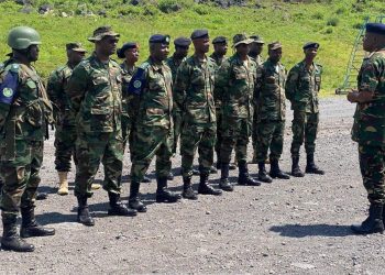 Guerre à l’Est : une force régionale de la SADC composée du Malawi, de l’Afrique du Sud et de la Tanzanie déployée depuis le 15 décembre à Goma