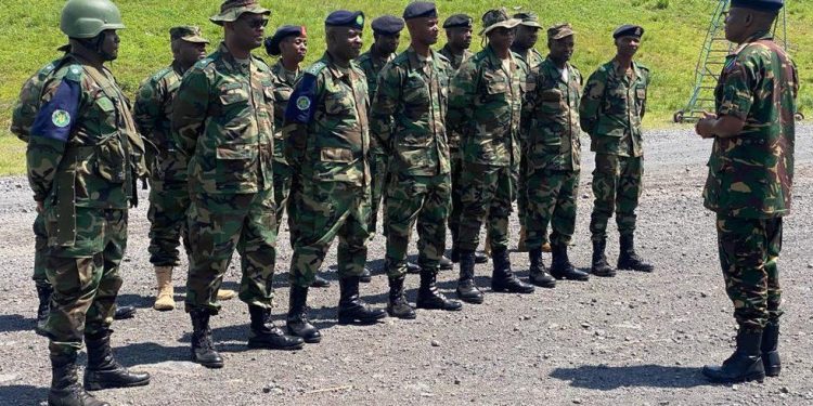 Guerre à l’Est : une force régionale de la SADC composée du Malawi, de l’Afrique du Sud et de la Tanzanie déployée depuis le 15 décembre à Goma