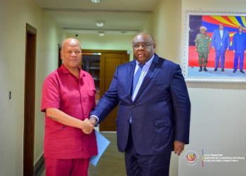 Guerre à l’Est : L’Afrique du Sud prête à contribuer au retour de la paix en RDC