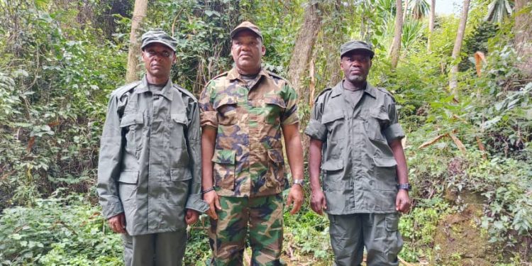 Guerre à l’Est : Après les sanctions de l’ONU contre certains dirigeants du M23, Corneille Nanga désigné coordonnateur politique, Bertrand Bisimwa relégué au second rang