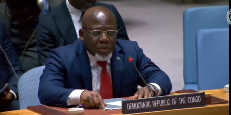 La RDC au Conseil de Sécurité : « Le Rwanda ne peut pas prétendre venir au Congo régler des problèmes ethniques »