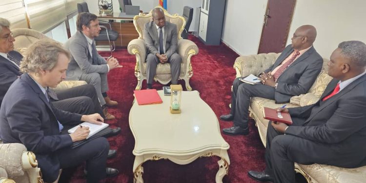 Guerre à l’Est : L’Organisation Internationale de la Francophonie appelée à accompagner la RDC dans la recherche de la solution