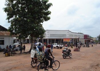 RDC : La province de l’Equateur a enregistré près de 228 nouveaux cas suspects de Monkeypox et 8 décès durant la période du 15 au 22 mars 2024 (document)