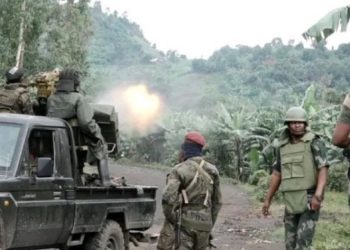 Guerre à l’Est : Des succès significatifs ont été enregistrés par les FARDC contre les rebelles à Masisi (Gouvernement)