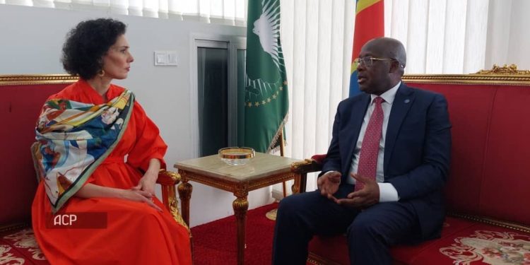 Guerre à l’Est : La Belgique prône le dialogue entre la RDC et le Rwanda pour le retour de la paix