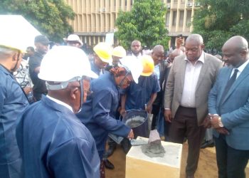 Environnement : La RDC sera bientôt dotée d’un système national de surveillance forestière (Eve Bazaiba)