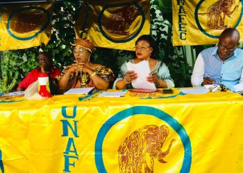 UNAFEC :les deux vice-présidentes radiées dont la femme de feu kyungu Wa Kumwanza radient à leur tour le président du parti Jean Ladislas Longange