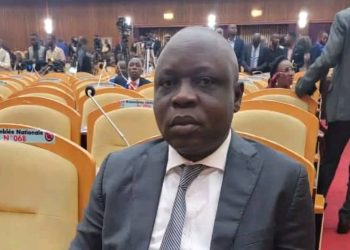 Formation du bureau définitif de l’assemblée nationale : le député National Berthos Kabey Diyal pressenti 1er Vice-Président pour le compte de l’UDPS