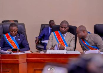 Assemblée provinciale de Kinshasa : Une plenière convoquée ce mercredi pour la mise en place des commissions parlementaires