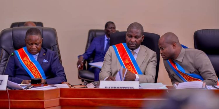 Assemblée provinciale de Kinshasa : Une plenière convoquée ce mercredi pour la mise en place des commissions parlementaires