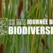 Journée Internationale de la Biodiversité : « Il est vital de mettre fin à la disparition des forêts tropicales et d’assurer leur gestion durable » (OIBT)