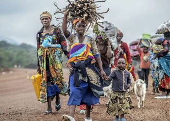 Guerre à l’Est : Près de 200. 000 déplacés supplémentaires depuis la reprise des hostilités FARDC-M23 alerte Médecins Sans Frontières