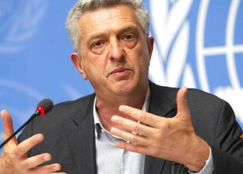 Guerre à l’Est : le Haut-commissariat de l’ONU pour les réfugiés appelle les belligérants à accélérer le processus politique (conseil de sécurité)