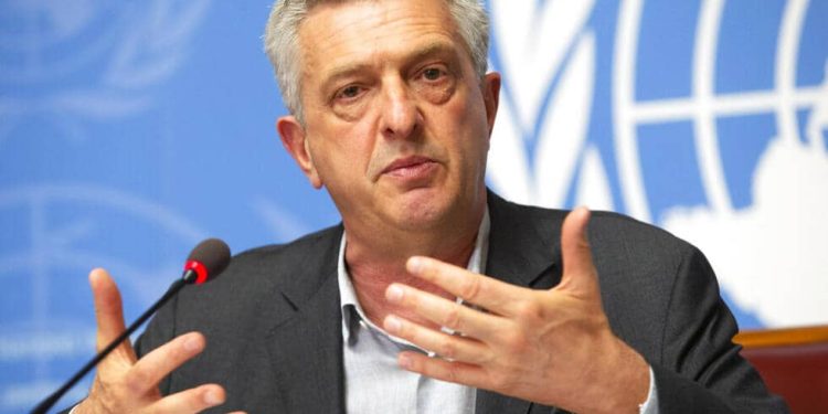 Guerre à l’Est : le Haut-commissariat de l’ONU pour les réfugiés appelle les belligérants à accélérer le processus politique (conseil de sécurité)