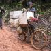 Journée Internationale de la Bicyclette : « Le vélo contribue à assainir l’air ainsi qu’à réduire les embouteillages » (OMS)