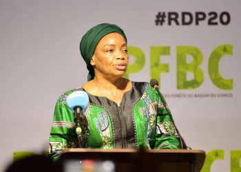 Protection du bassin du Congo : Le gouvernement congolais martèle sur une gestion intégrée des forêts