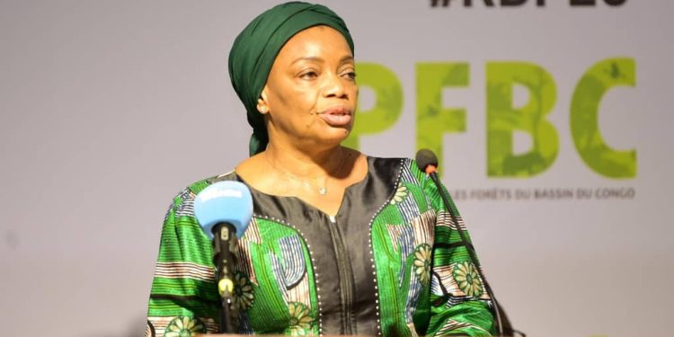 Protection du bassin du Congo : Le gouvernement congolais martèle sur une gestion intégrée des forêts