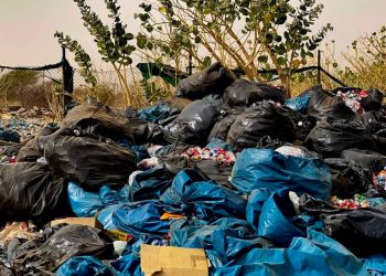 Journée Mondiale de l’Environnement : Antonio Guterres appelle les pays à honorer tous leurs engagements en matière de restauration des terres et des écosystèmes dégradés