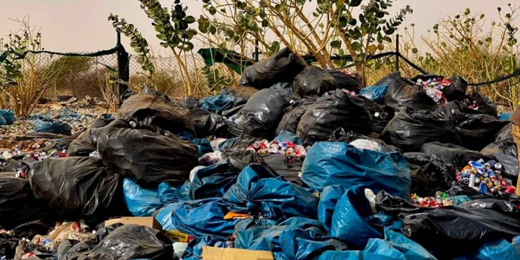 Journée Mondiale de l’Environnement : Antonio Guterres appelle les pays à honorer tous leurs engagements en matière de restauration des terres et des écosystèmes dégradés