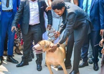 Justice-RDC: Constant Mutamba abroge le F-92 . Un délai d’un mois accordé aux Associations sans but lucratif de se conformer à la loi (Document)