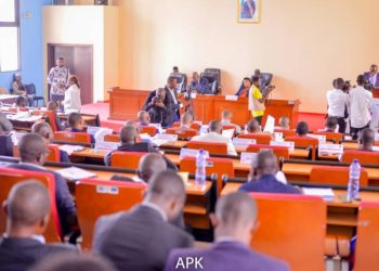 Assemblée provinciale de Kinshasa : Une plénière est convoquée ce vendredi 07 juin pour auditionner le ministre provincial de l’Intérieur et Sécurité