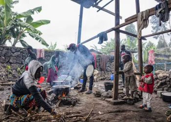 Crise sécuritaire dans l’Est de la RDC: Les États-Unis annoncent la prolongation de la trêve humanitaire pour 15 jours (Communiqué)