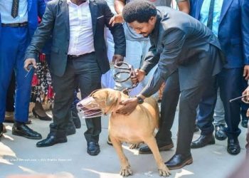 Constant MUTAMBA : « En trois Semaines, nous avons décuplé les recettes du Ministère de la Justice »