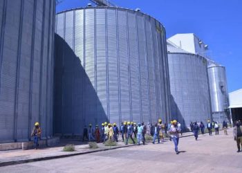 Haut-Katanga : le Gouvernement évalue le stock des Maïs disponibles dans la minoteries installées à Lubumbashi