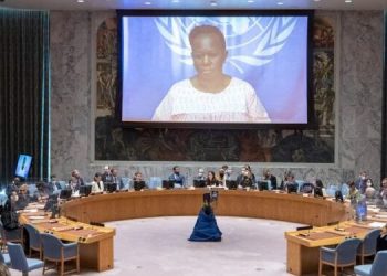 Conseil de sécurité de l’ONU: « La fin du régime de notification d’achat d’armes ne met pas un terme aux sanctions contre la RDC » (Mission Permanente de la RDC)