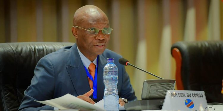 Gratuité de la maternité: Déjà près de 800.000 femmes ont été prises en charge gratuitement en République démocratique du Congo (Gouvernement)